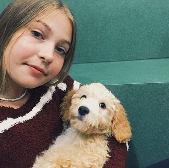 Meet your Posher, Maisey - Picture 1 of 6